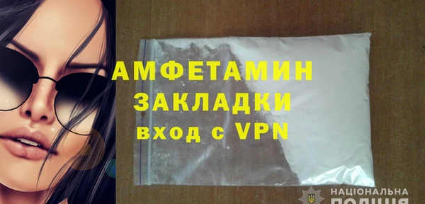 индика Коряжма