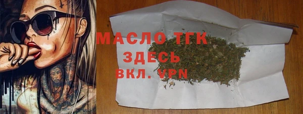 индика Коряжма