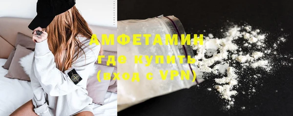 индика Коряжма