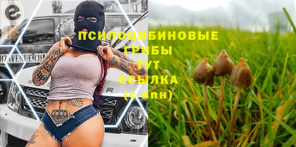 индика Коряжма