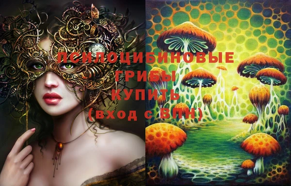 индика Коряжма