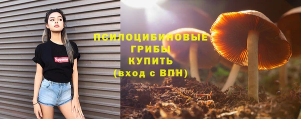 бутират Костерёво